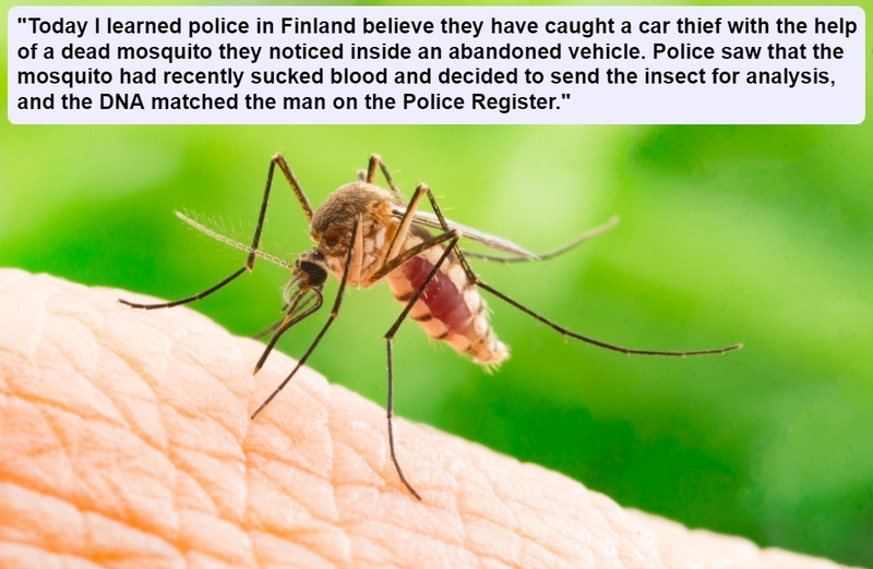 Mosquito Cop | Shutterstock