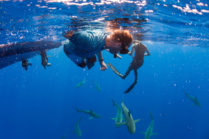 Cuidado con los tiburones | Alamy Stock Photo by Cavan Images/Logan Mock-Bunting