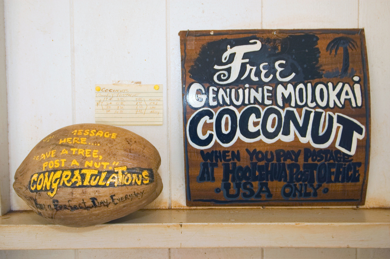 Envía un coco gratis | Alamy Stock Photo by John Elk III 