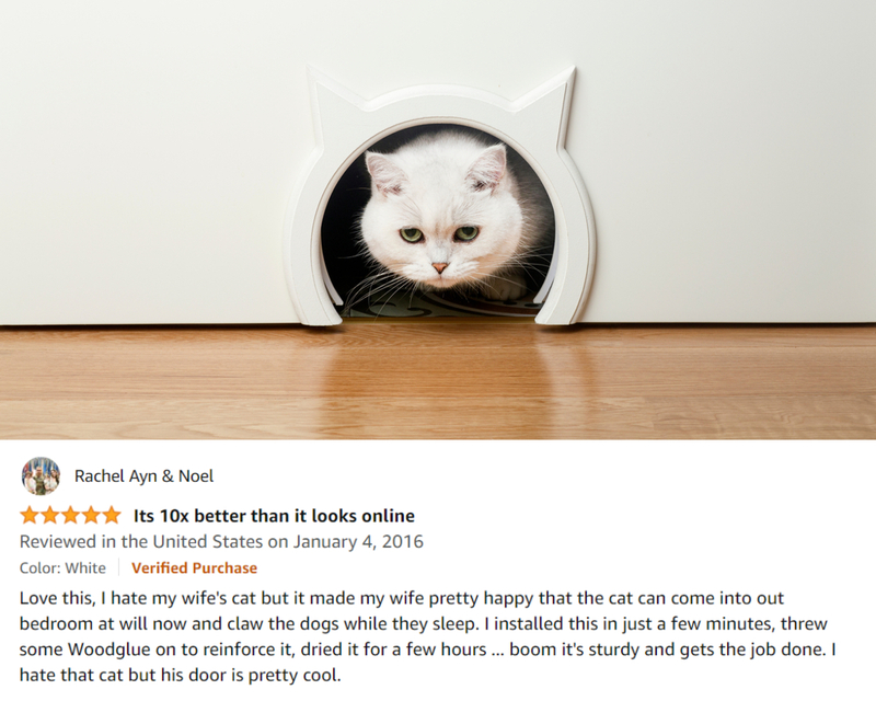 The Kitty Pass Cat Door | Shutterstock