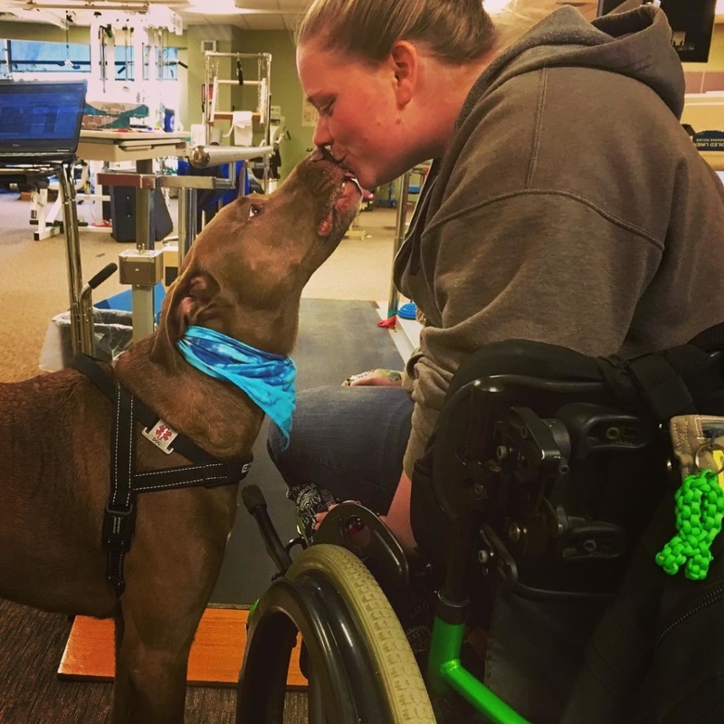 This Pitbull Supports His Owner’s Neck During Seizures | Instagram/@servicedogcolt