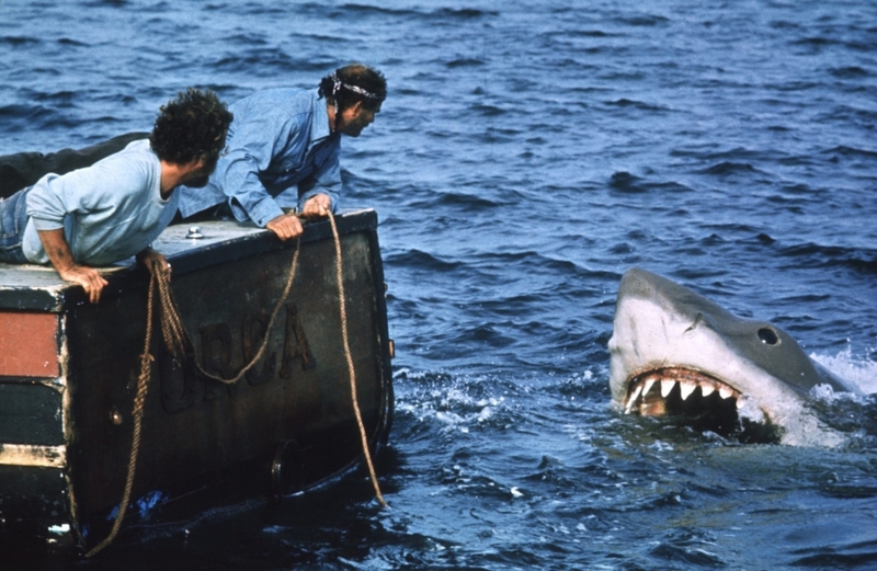 Jaws | MovieStillsDB
