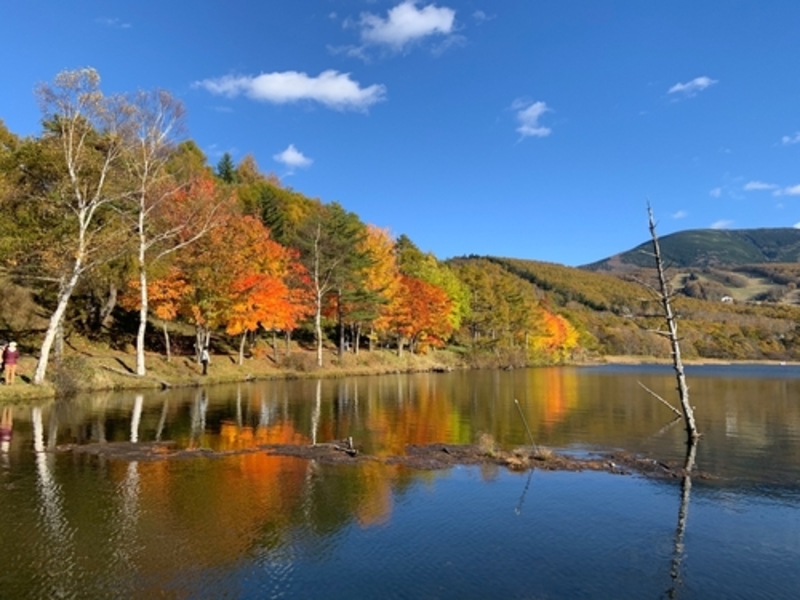 Highland Lakes, Alabama | Shutterstock
