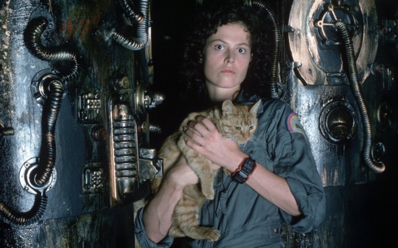 Sigourney Weaver on the “Alien” Franchise | MovieStillsDB Photo by movienutt/Twentieth Century Fox