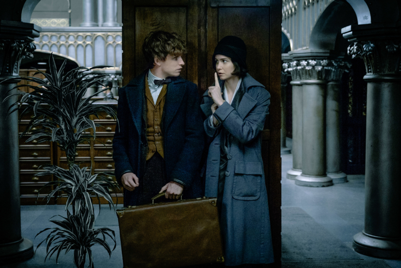 Fantastic Beasts and Where to Find Them | MovieStillsDB Photo by lachonic/production studio