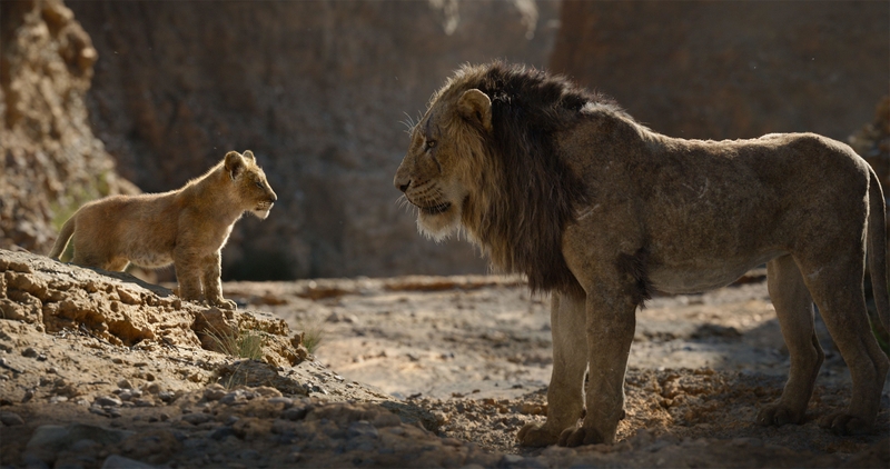 Lion King (2019) | Alamy Stock Photo