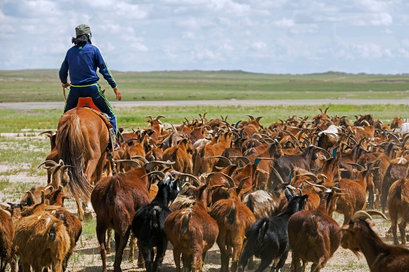 In the Meantime in Mongolia | Alamy Stock Photo