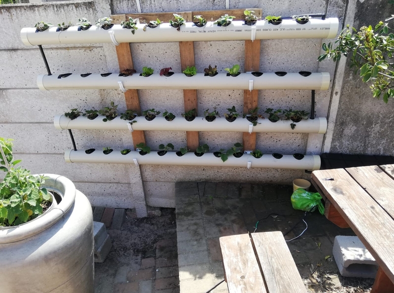 Growing Your Garden | Reddit.com/Botma69