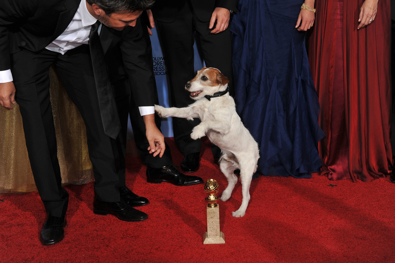A Jack Russell Became a Hollywood Star | Shutterstock Photo by Paul Smith/Featureflash Photo Agency