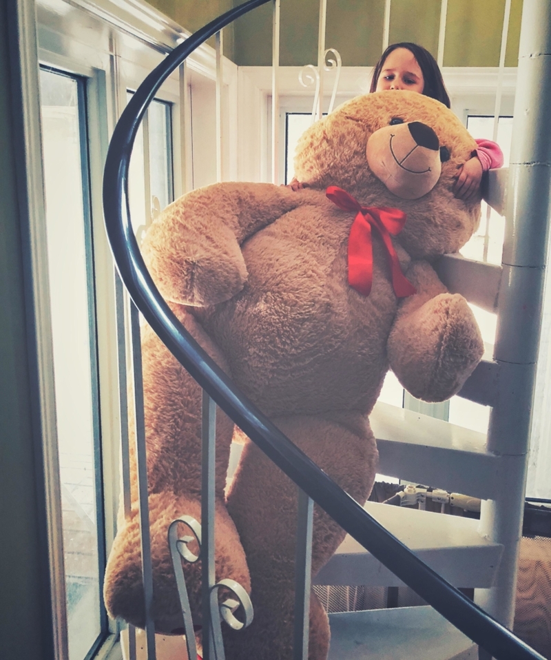 A 50-Pound Teddy Bear | Alamy Stock Photo