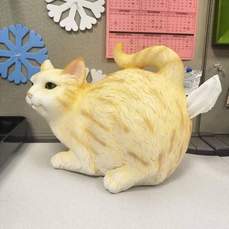 Cat Butt Tissue Holder | Instagram/@livi_bird