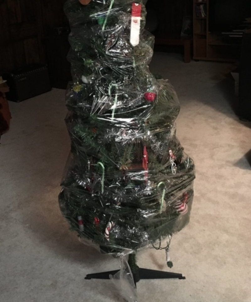 Keep the Tree Ready for Next Year | Reddit.com/342636_stephy_a