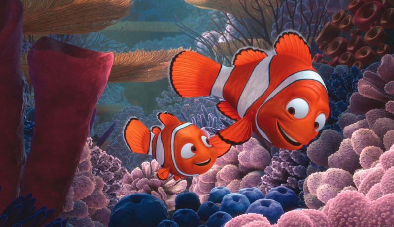 Nemo Was Never Lost | Alamy Stock Photo