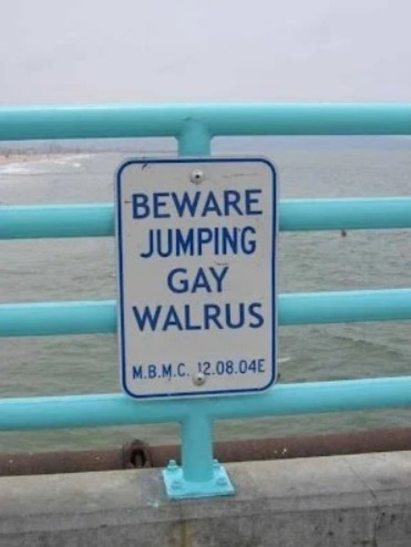 Jumping Gay Walrus | Reddit.com/Afrotators