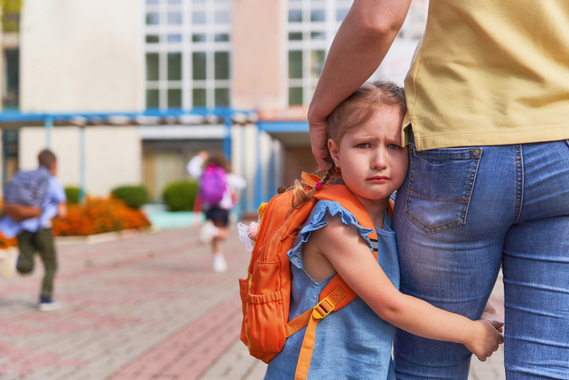Didaskaleinophobia – Schools | Shutterstock