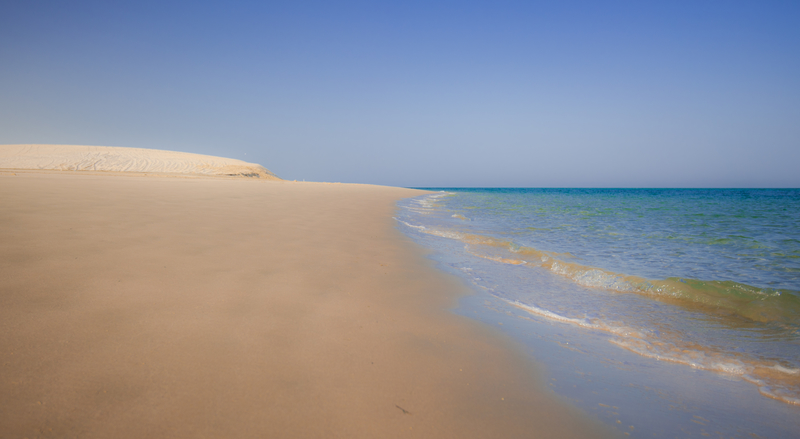 Donde el desierto y el mar se unen | Shutterstock