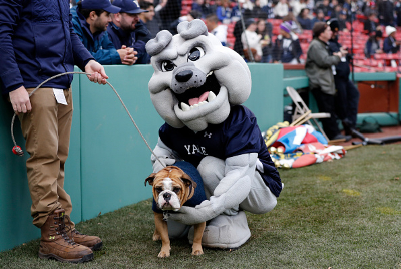 A Brief History of Mascots | Getty Images