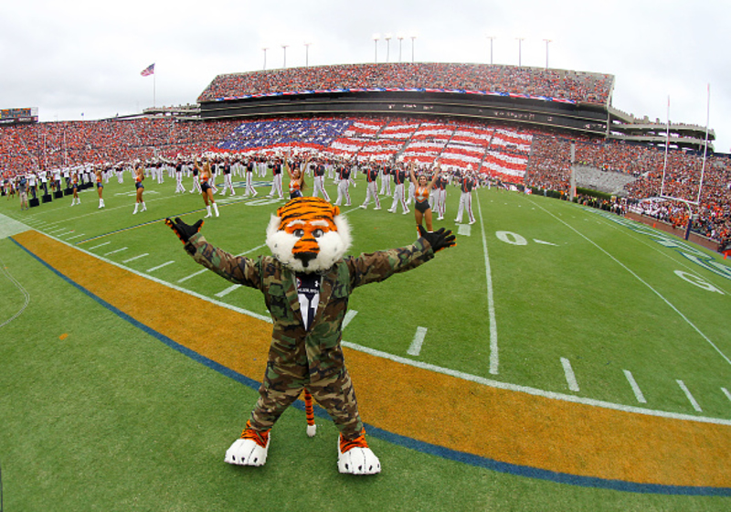 The Best, the Worst, the Weirdest Mascots | Getty Images