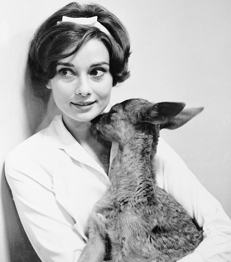 Audrey Hepburn, She's Just Like Us! | Getty Images Photo by Bettmann