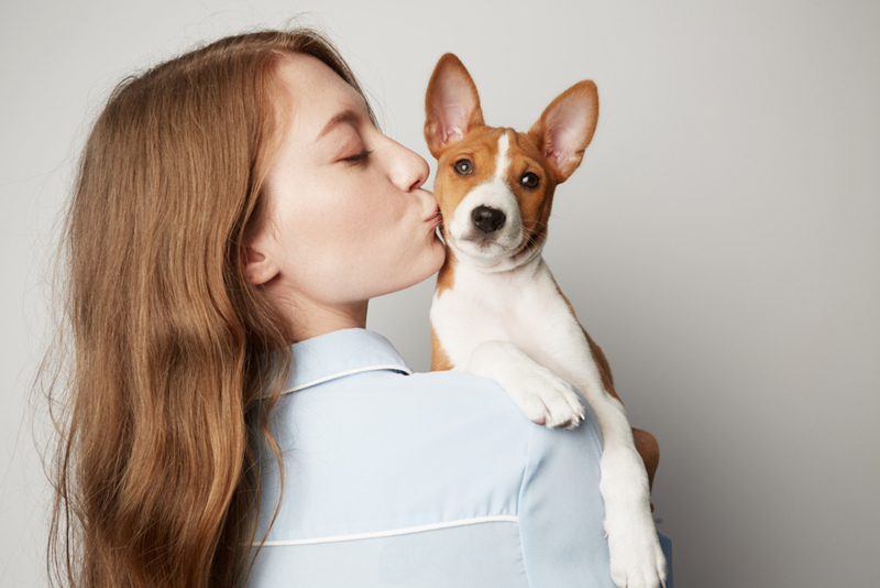 Smooches for Pooches | Shutterstock