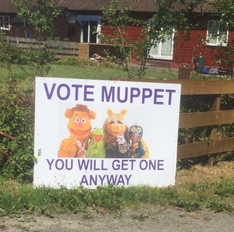 Muppets for All | Twitter/@KarenShort8