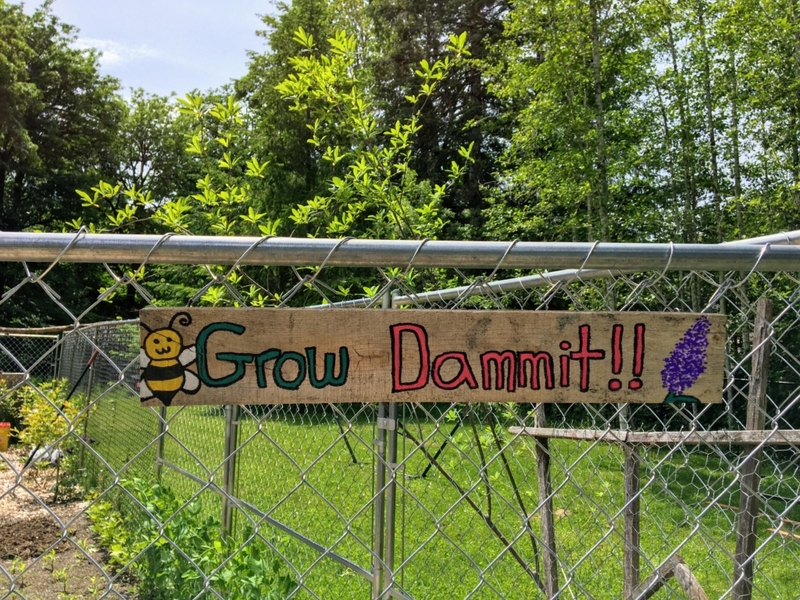 Grow Please | Reddit.com/TipCleMurican