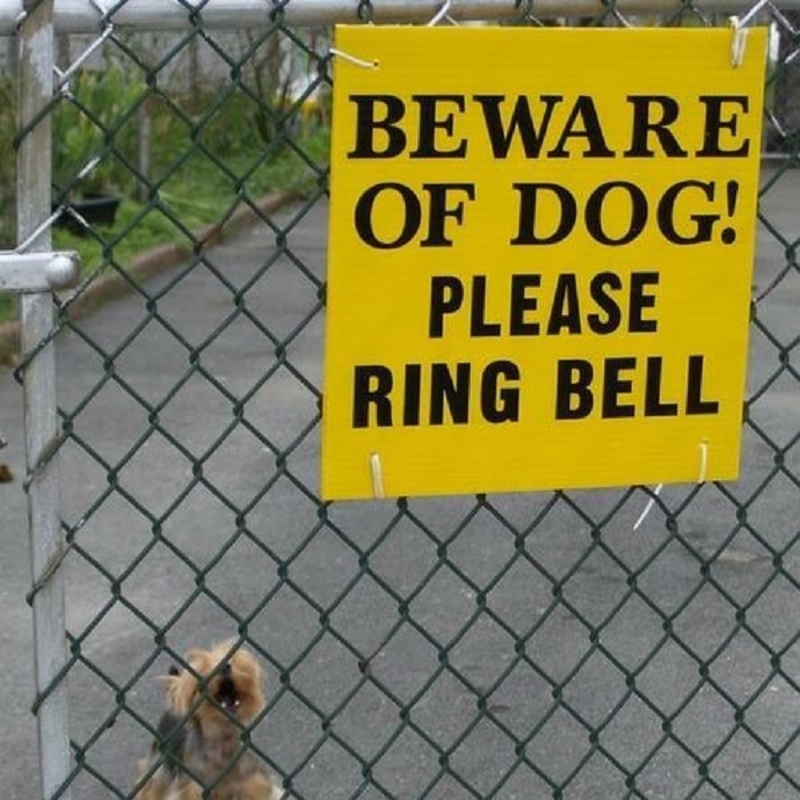 Beware of Dog? | Flickr Photo by LGagnon