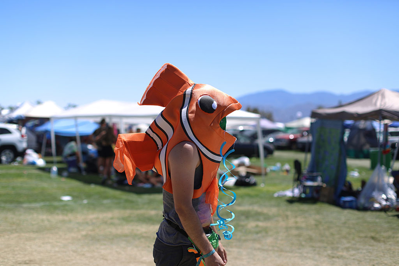 Nemo wurde nie gefunden | Getty Images Photo by David McNew