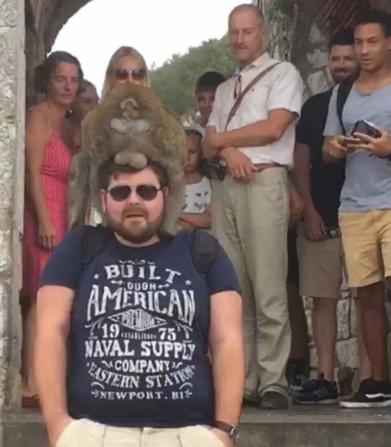 Was der Affe sieht, macht er nach | Reddit.com/MisunderstoodToast