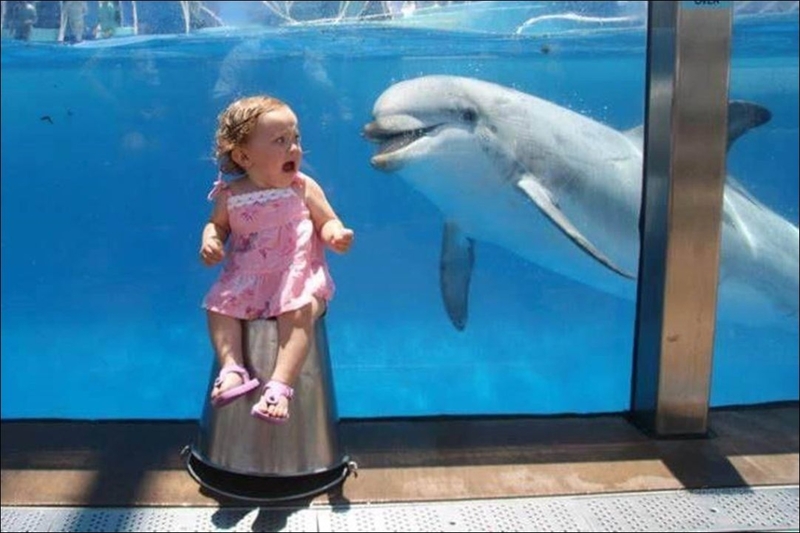 Baby trifft Delphin | Imgur.com/pS1mS