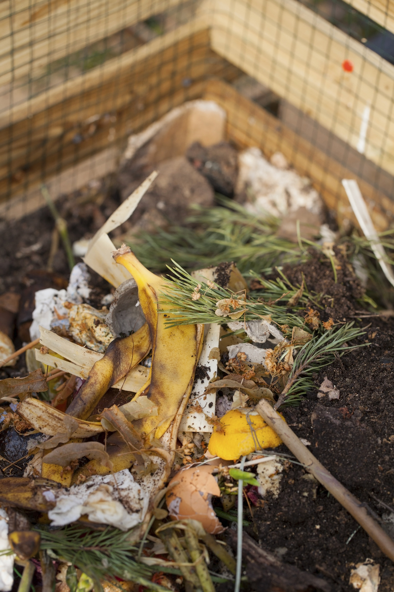 Banana Peels = Compost | Shutterstock