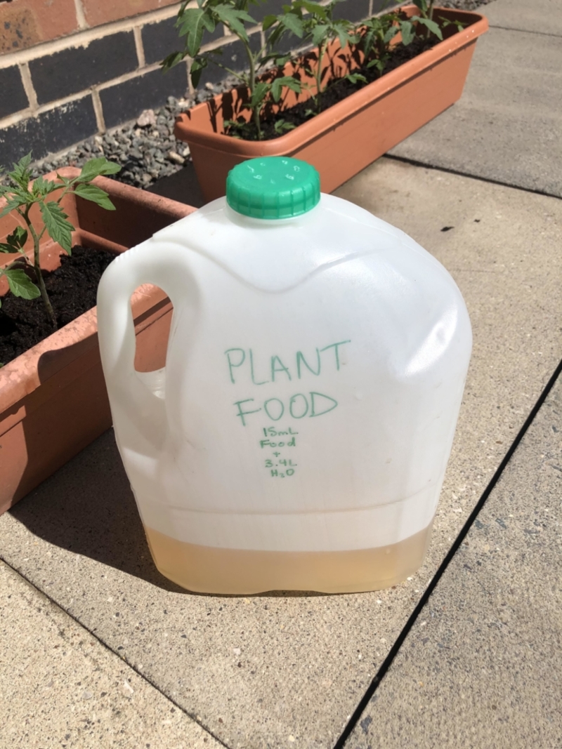 Milk Jug Watering Can | Reddit.com/applepiecheetah