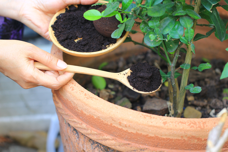 Coffee Grounds: A Natural Fertilizer | Shutterstock