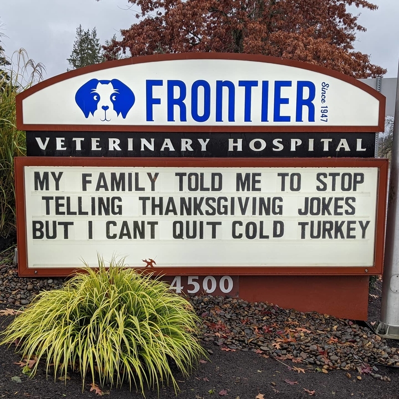 Quitting Cold Turkey Is Never a Good Idea | Instagram/@frontiervet