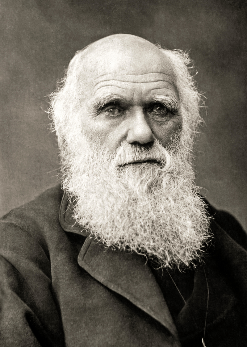Charles Darwin | Alamy Stock Photo