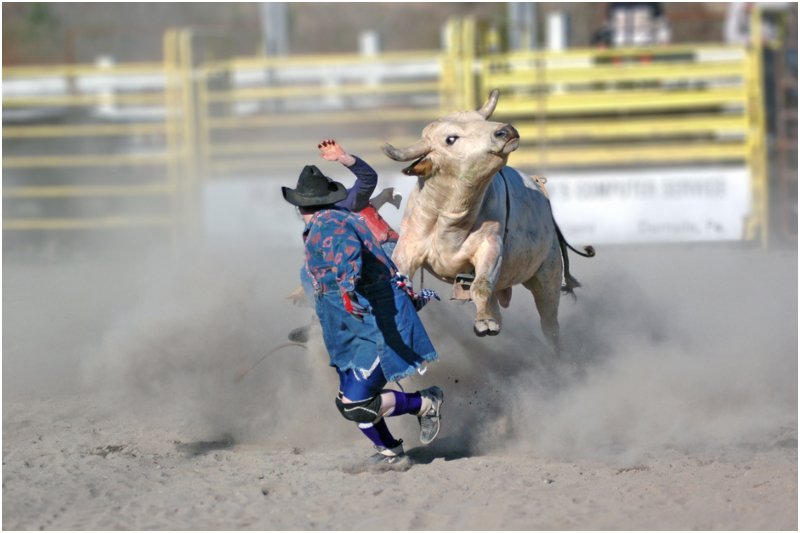 Cowboy Para Cima! | Shutterstock
