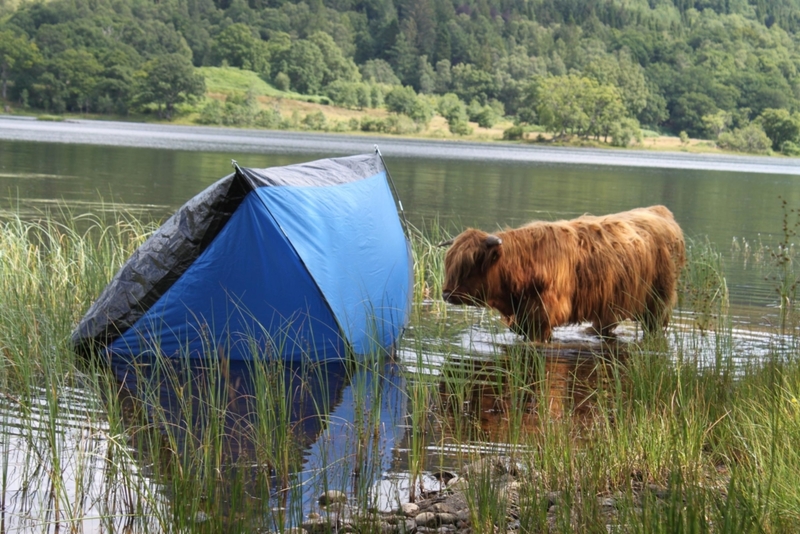 Camping in Schottland | heraldscotland