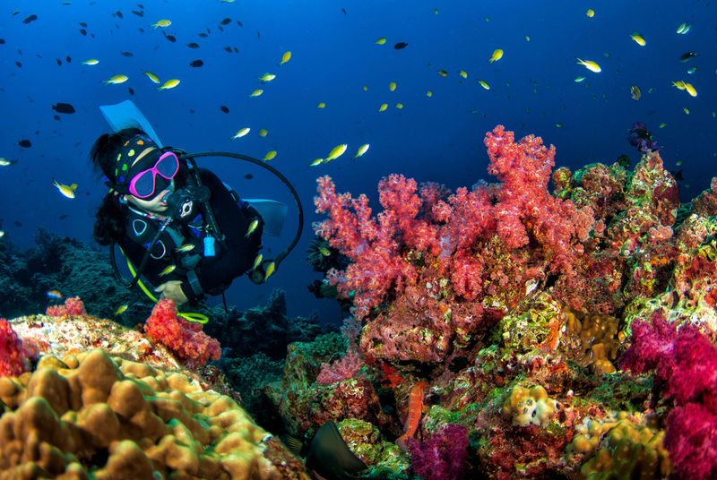History of Scuba Diving | Shutterstock