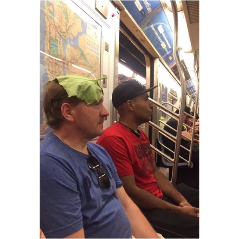 Kopfsalat | Instagram/@subwaycreatures