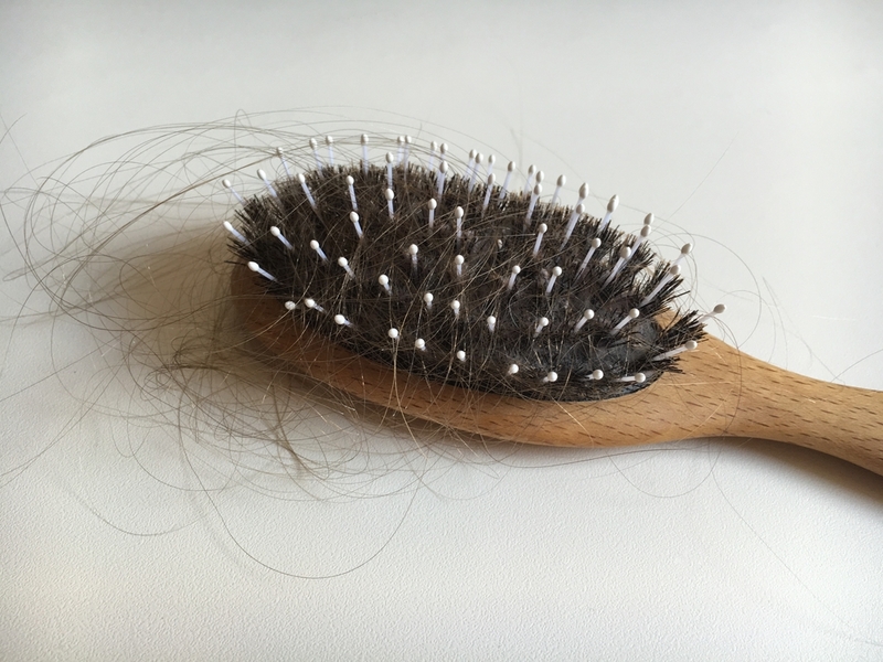 Hairbrushes | Shutterstock