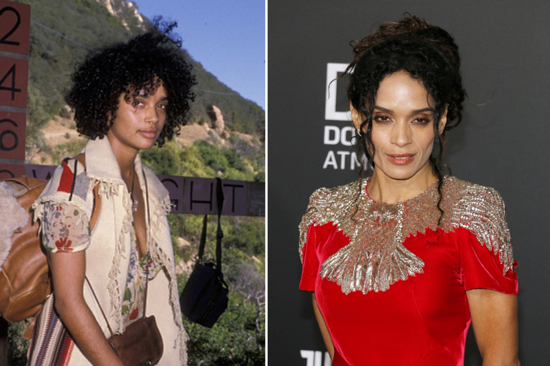 Lisa Bonet | Getty Images Photo by Ron Galella & Tinseltown/Shutterstock
