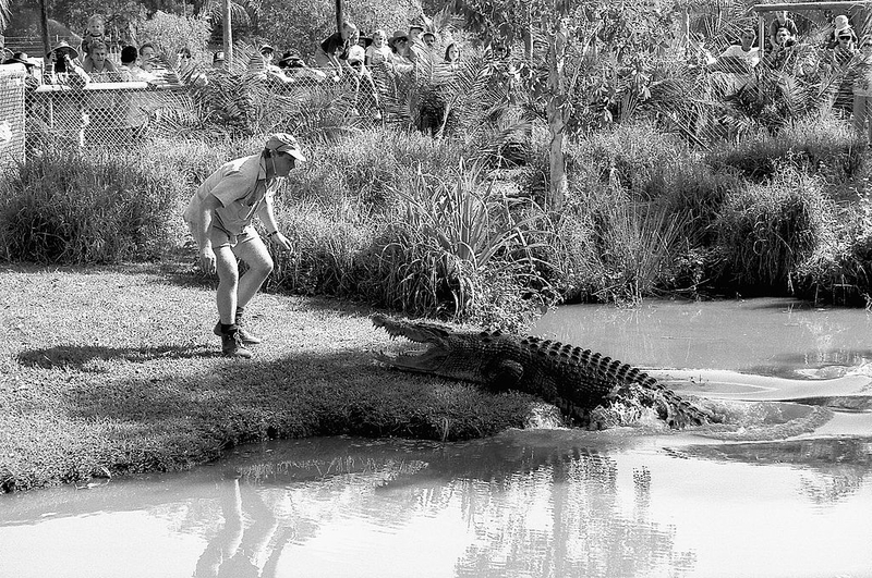Terri Is Thankful Steve Wasn’t Killed by a Croc | Getty Images Photo by Lisa Maree Williams