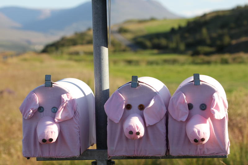 Three Little Pigs | Adobe Stock