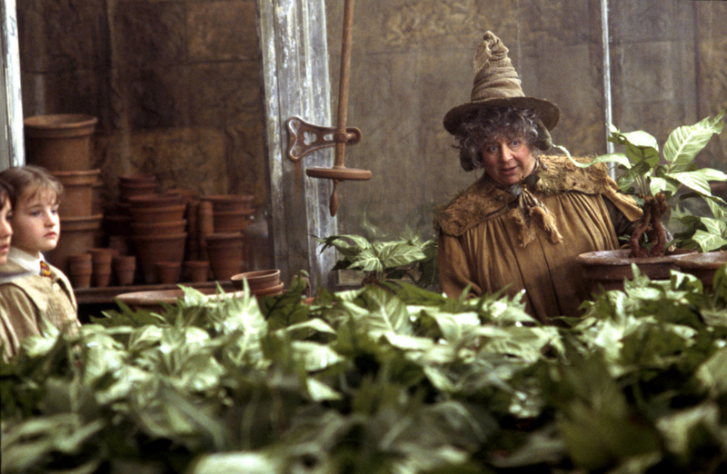 Miriam Margolyes als Pomona Sprout | MovieStillsDB Photo by thankstome/Warner Bros