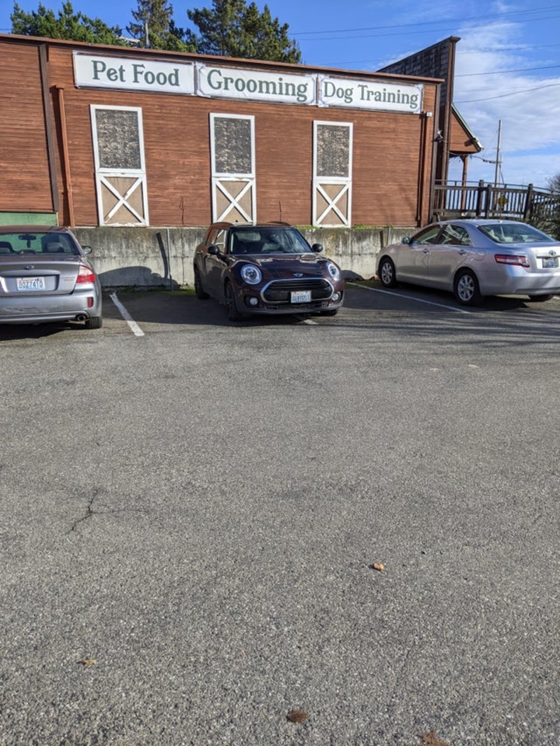 Talk About Accurate Parking | Reddit.com/chaus_nomi