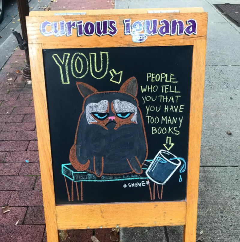Grumpy Cat Has an Important Message | Instagram/@curiousiguana