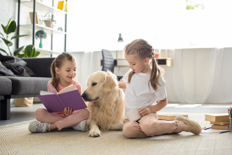 Labradore und andere geduldige Rassen hören Kindern beim Lesen zu | Shutterstock