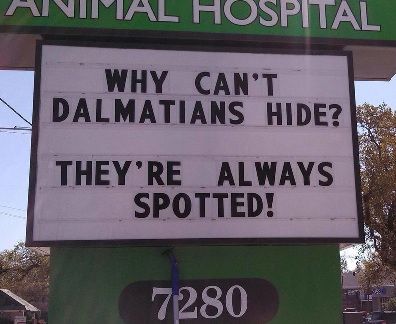 We See What You Did There | Facebook/@HighlandRoadAnimalHospital