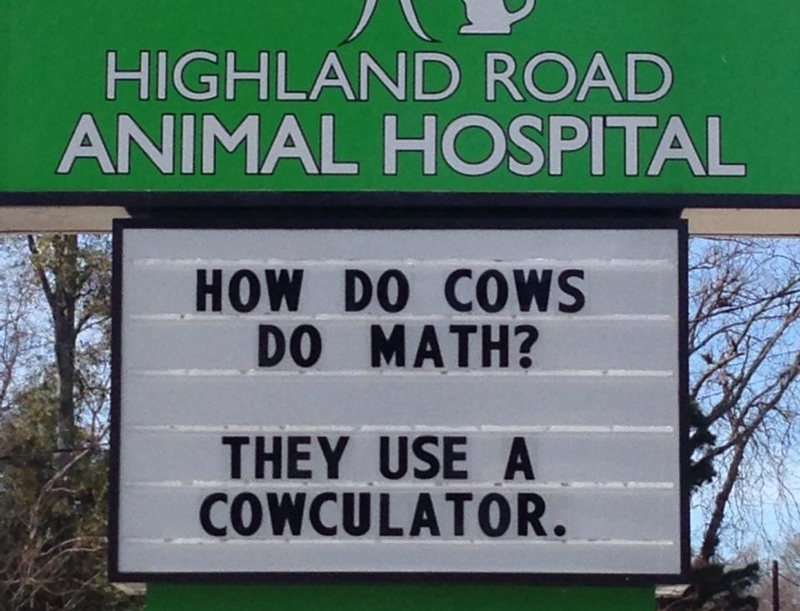 Bovine Mathematics | Facebook/@HighlandRoadAnimalHospital