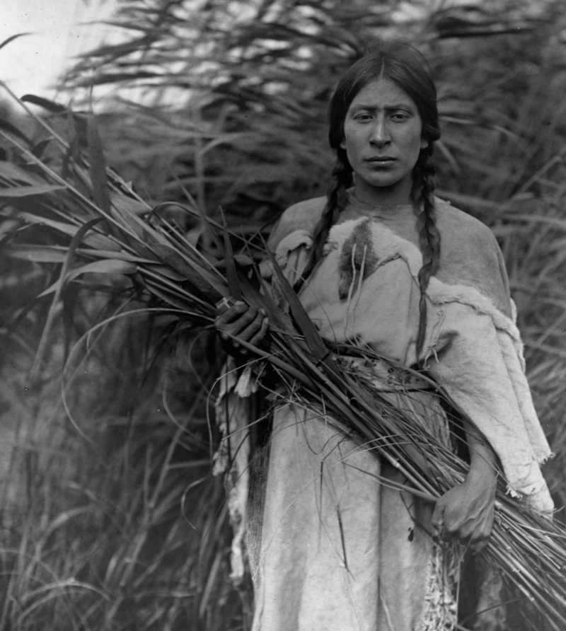 The Rush Gatherer | Getty Images Photo by Edward S. Curtis/Library of Congress/Corbis